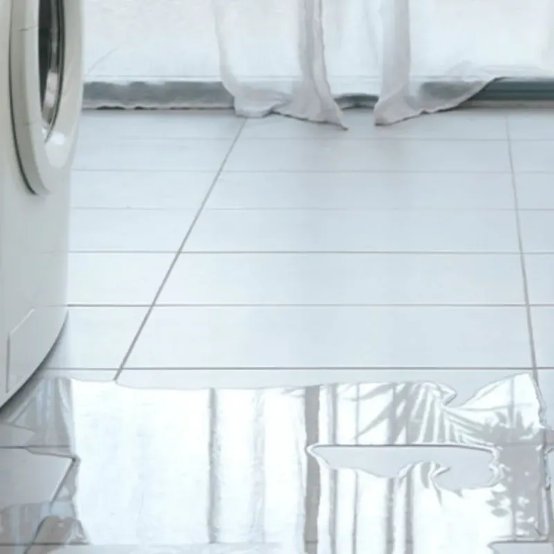 Appliance Leak Cleanup in Newport, NC