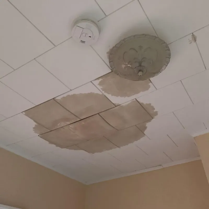 Ceiling Water Damage Repair in Newport, NC