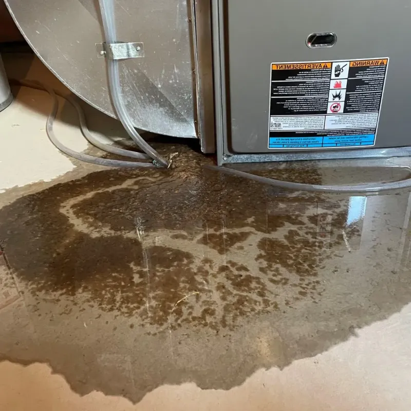 Pipe Burst and Leak Restoration in Newport, NC