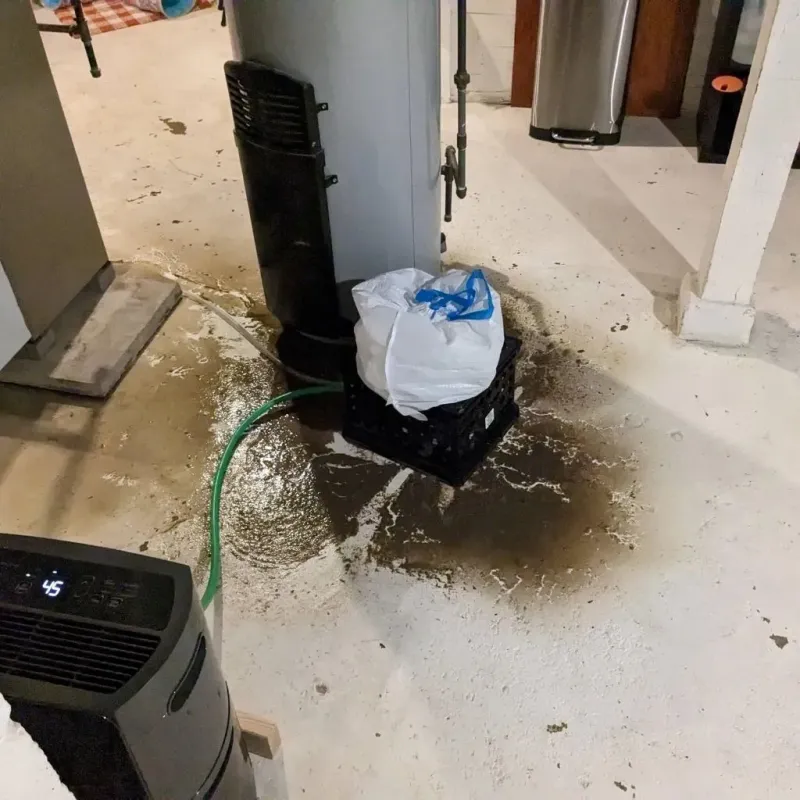 Sewage Backup Cleanup Service in Newport, NC